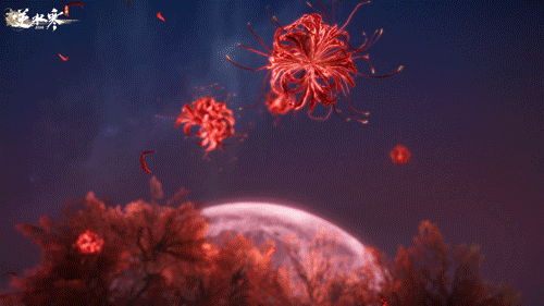 11.gif