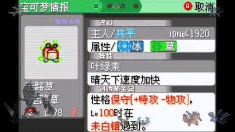 口袋妖怪日月宝石八木特别篇手机汉化版