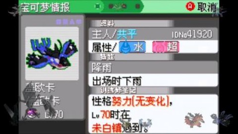 口袋妖怪日月宝石八木特别篇手机汉化版