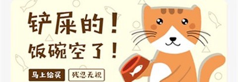 遇见我的猫